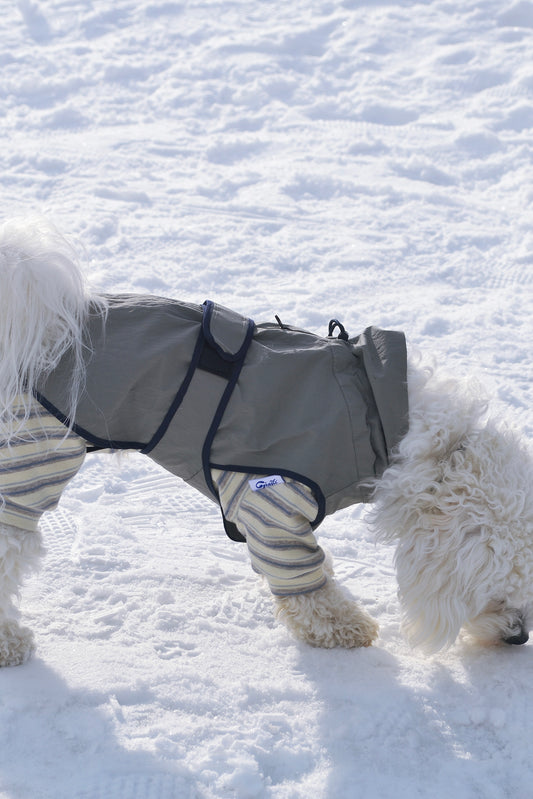 Ensemble imperméable 2 pièces pour chien - Neige de printemps