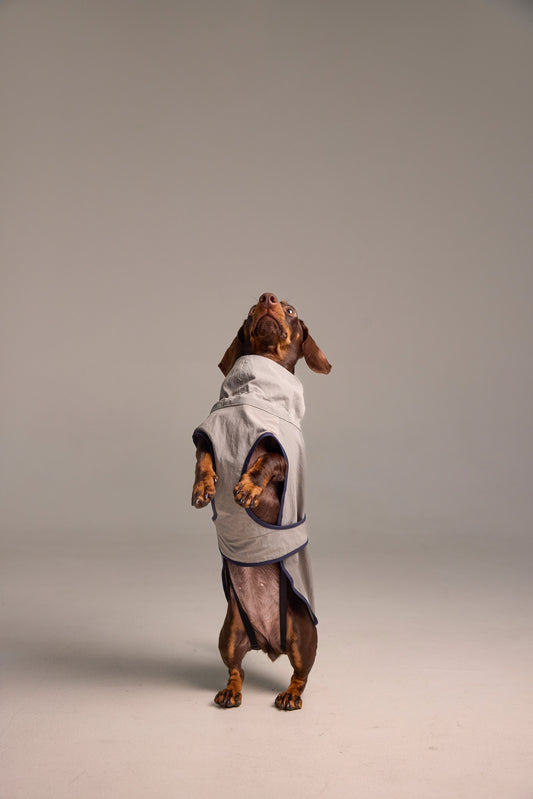 Imperméable léger pour chien - Gris