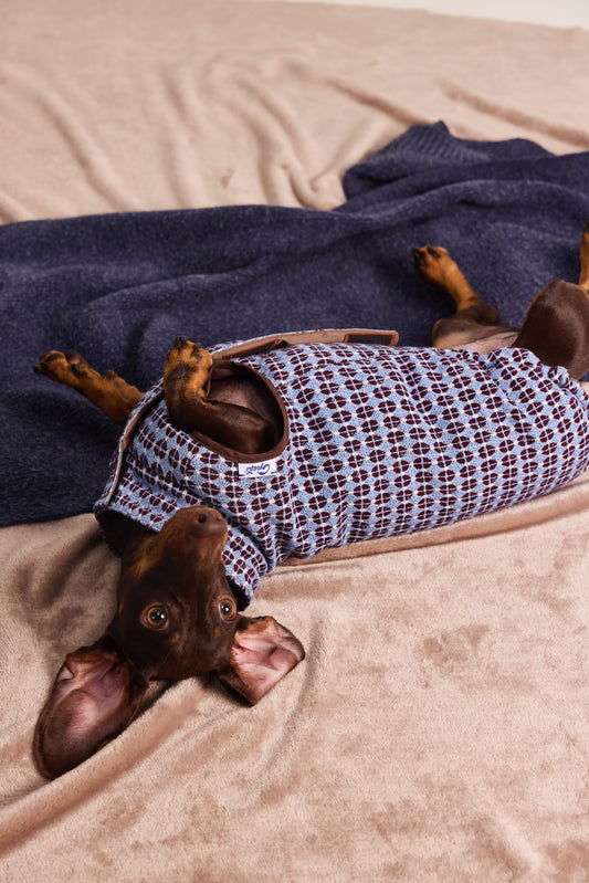 Reversible quilted vest in exclusive jacquard for Dachshund