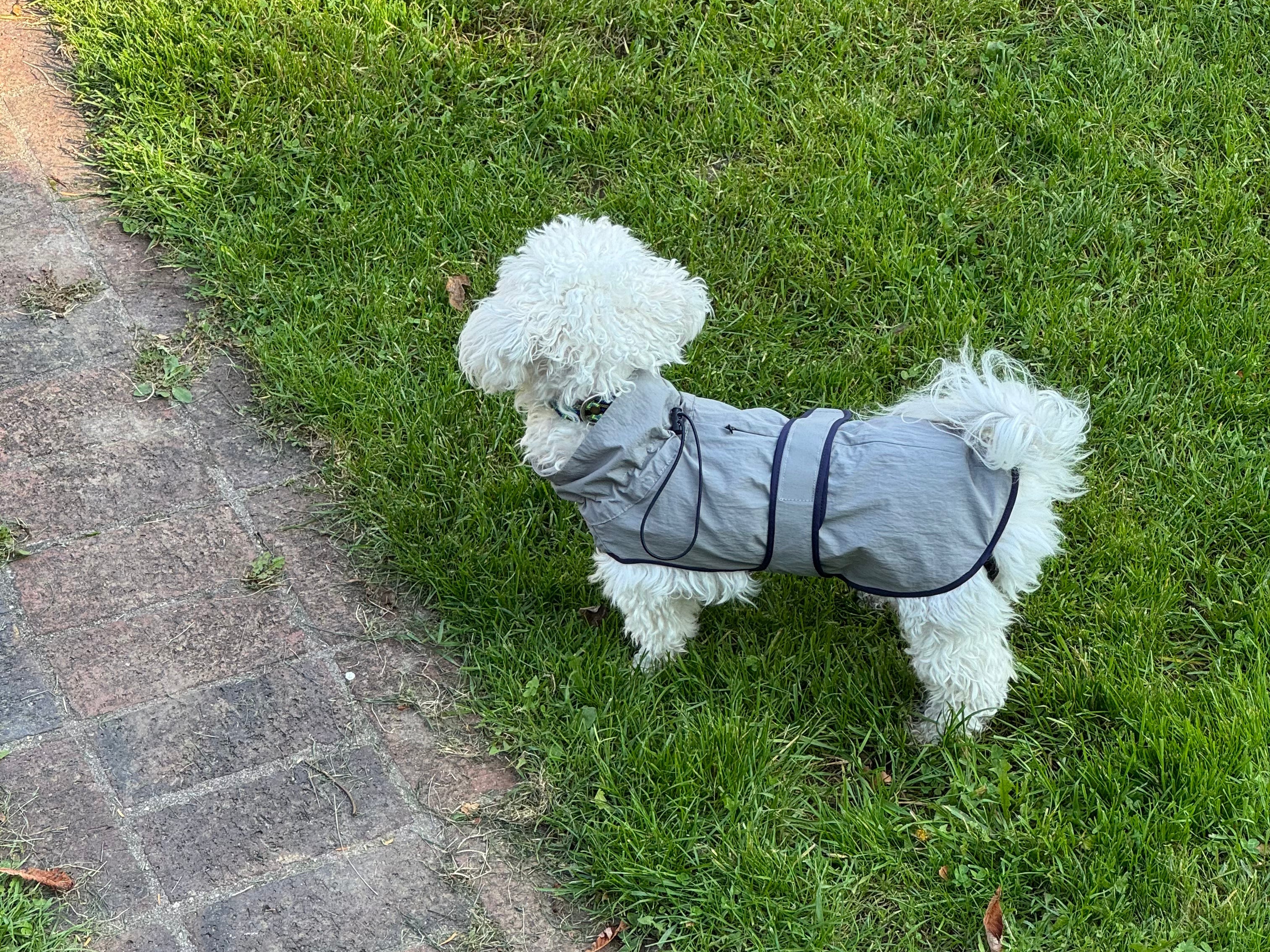 Hushbaby Imperméable à couleurs unies