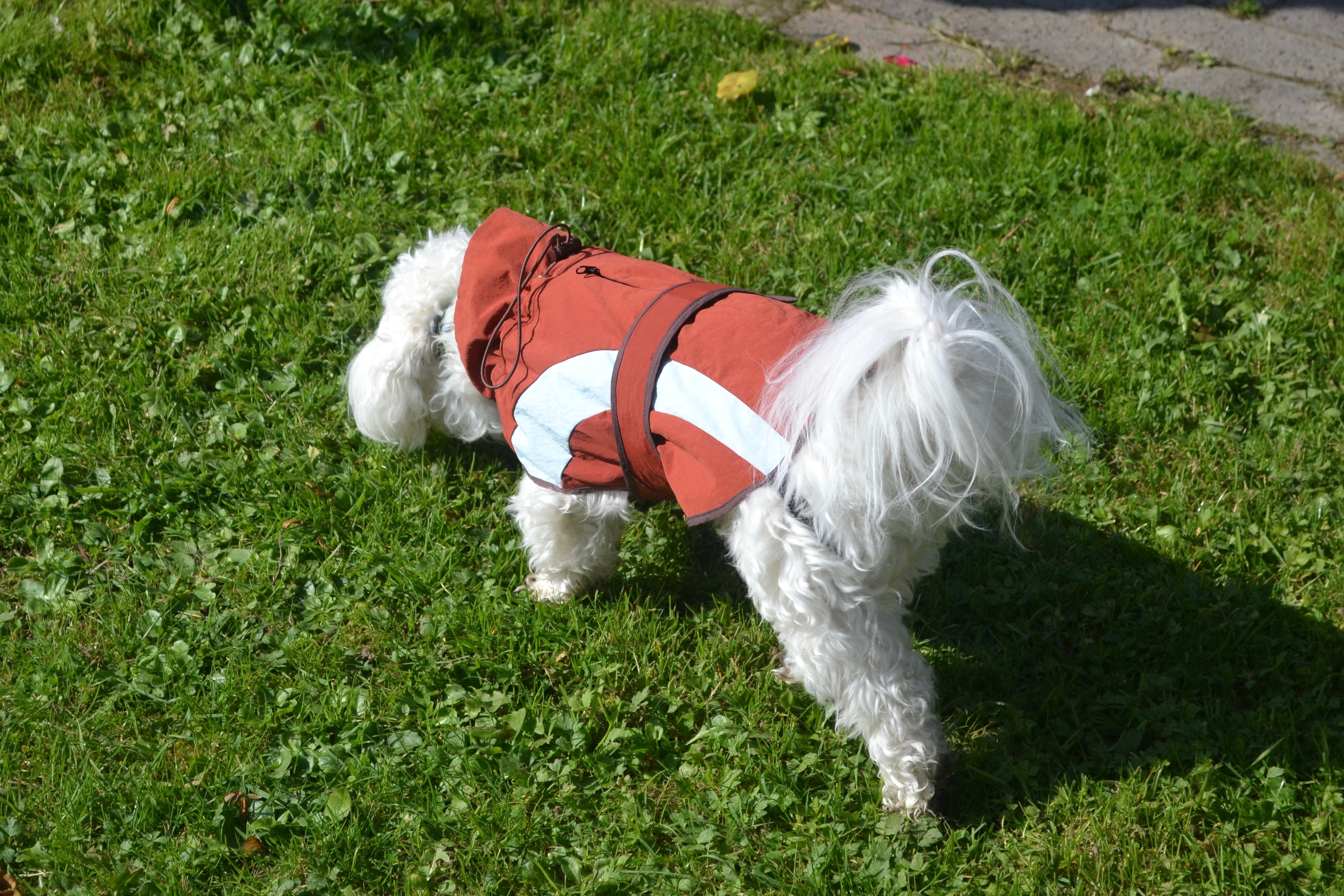 HUSHBABY Imperméable pour chien- A blocs de couleur