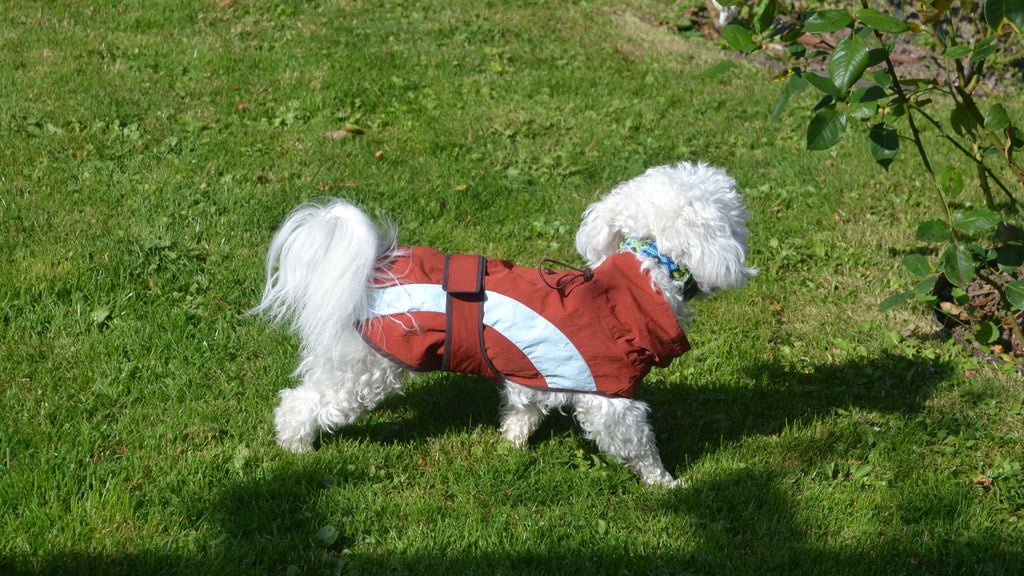 HUSHBABY Imperméable pour chien- A blocs de couleur