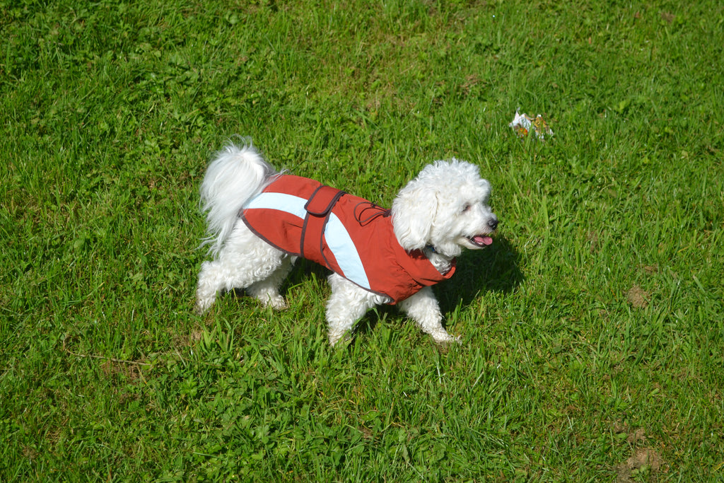 HUSHBABY Imperméable pour chien- A blocs de couleur