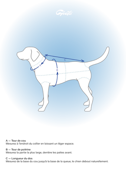 Trench 2-EN-1 pour chien