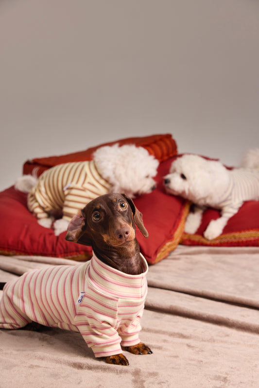 Sous-pull en maille pour chien