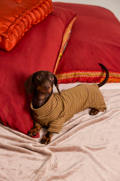 Mesh undershirt for Dachshund