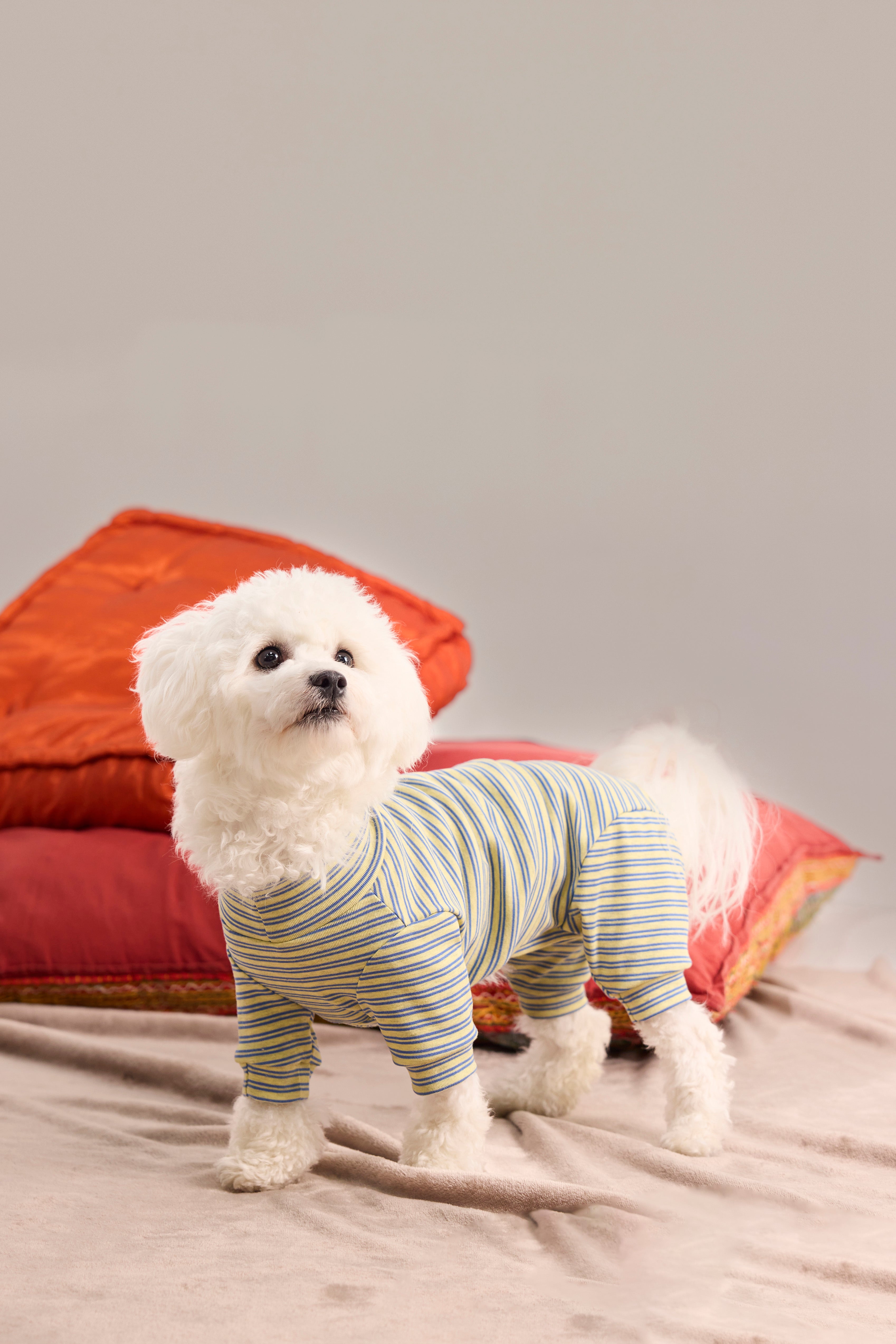 Sous-pull en maille pour chien