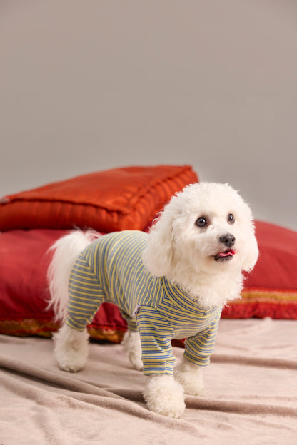 Mesh undershirt for Dachshund