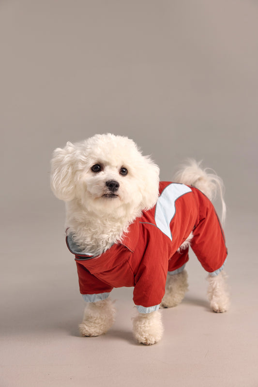 Combinaison 2-en-1 pour chien, haut et pantalon détachables