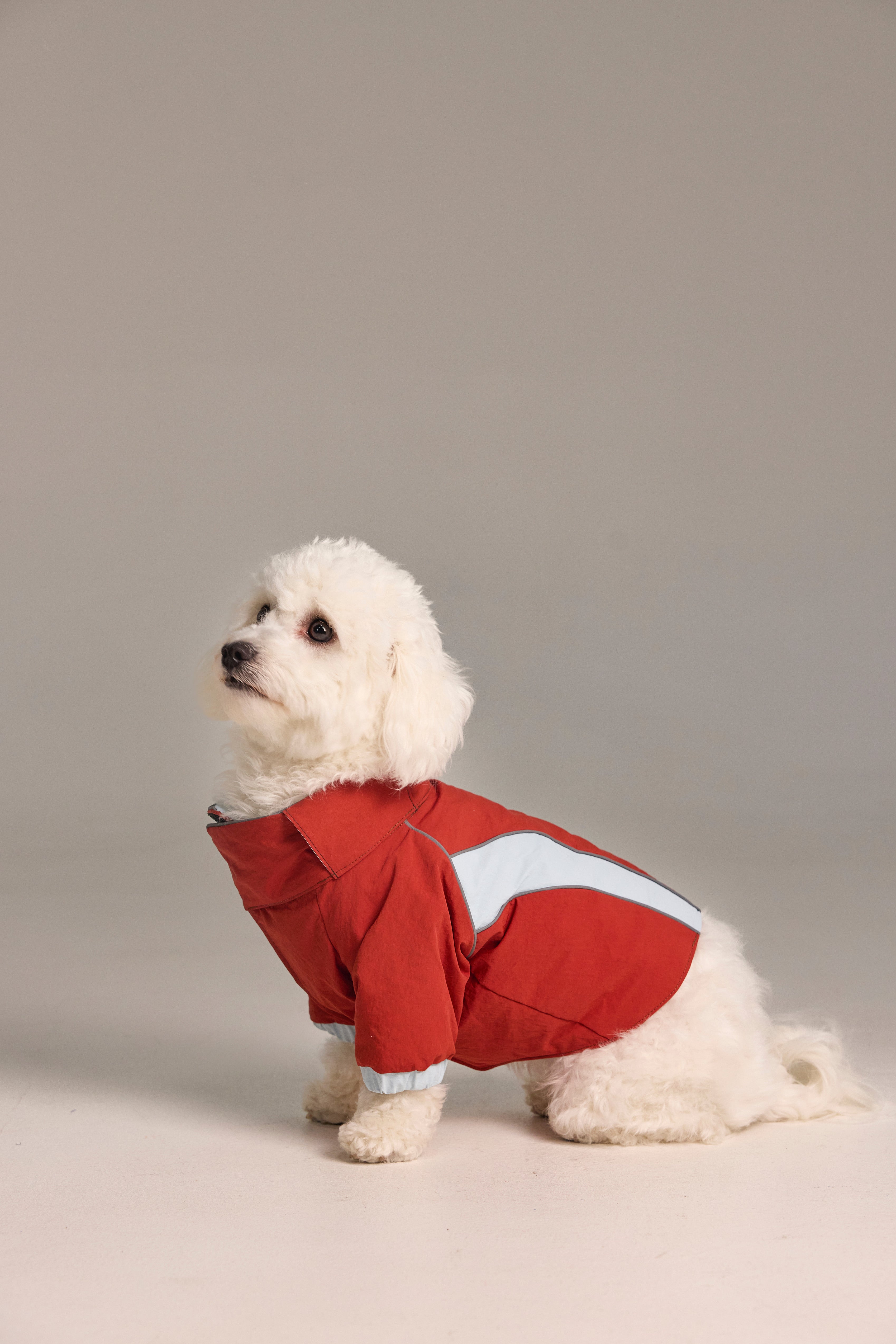 Combinaison 2-en-1 pour chien, haut et pantalon détachables