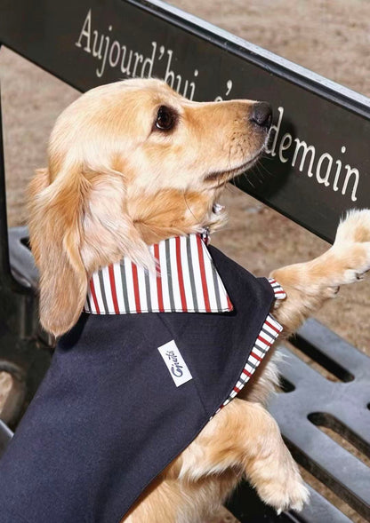 Trench Coat Bleu Marine pour Chien/Teckel