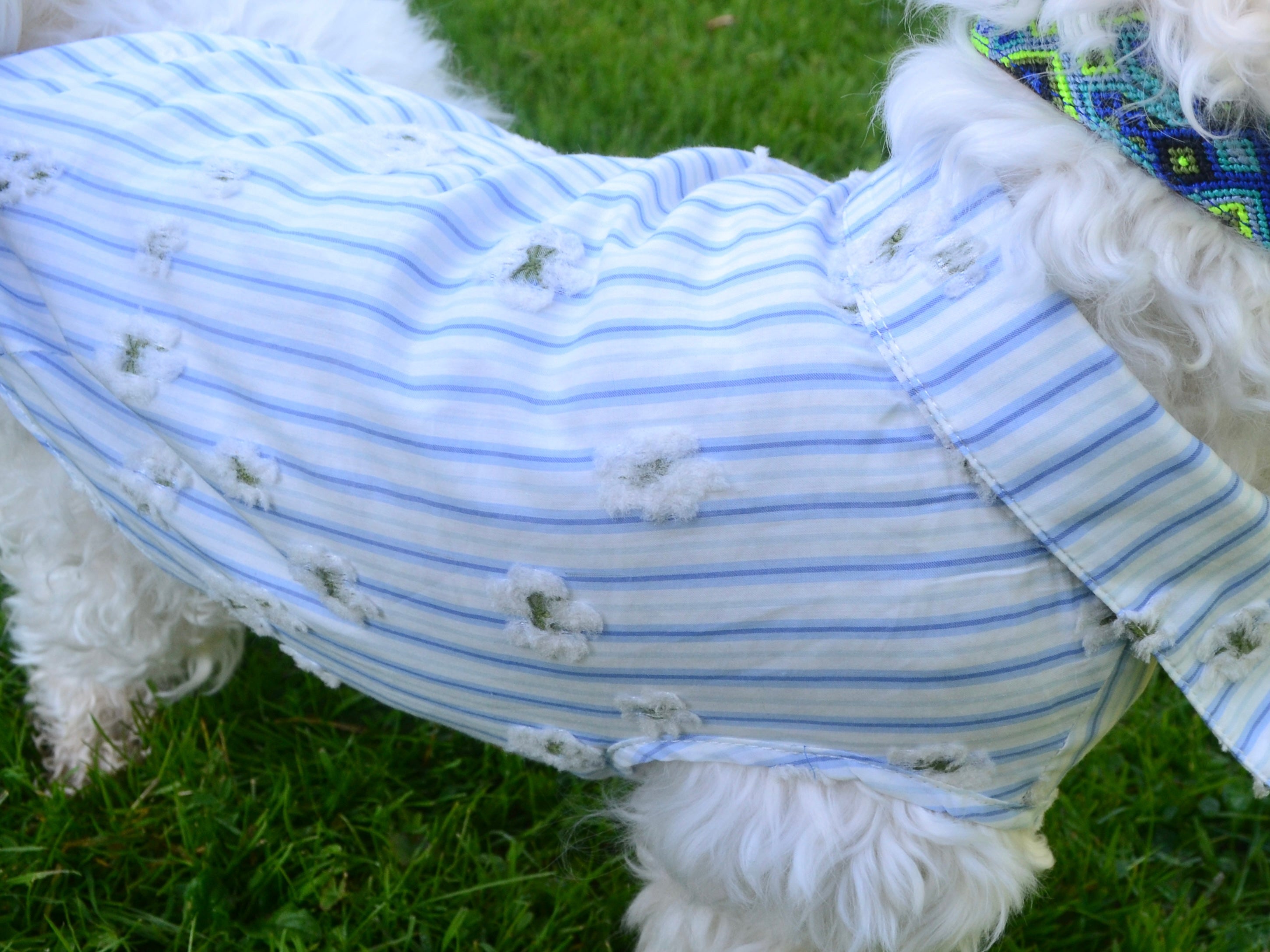 NUOMI Chemise pour chien - Floralies - blanc à rayures