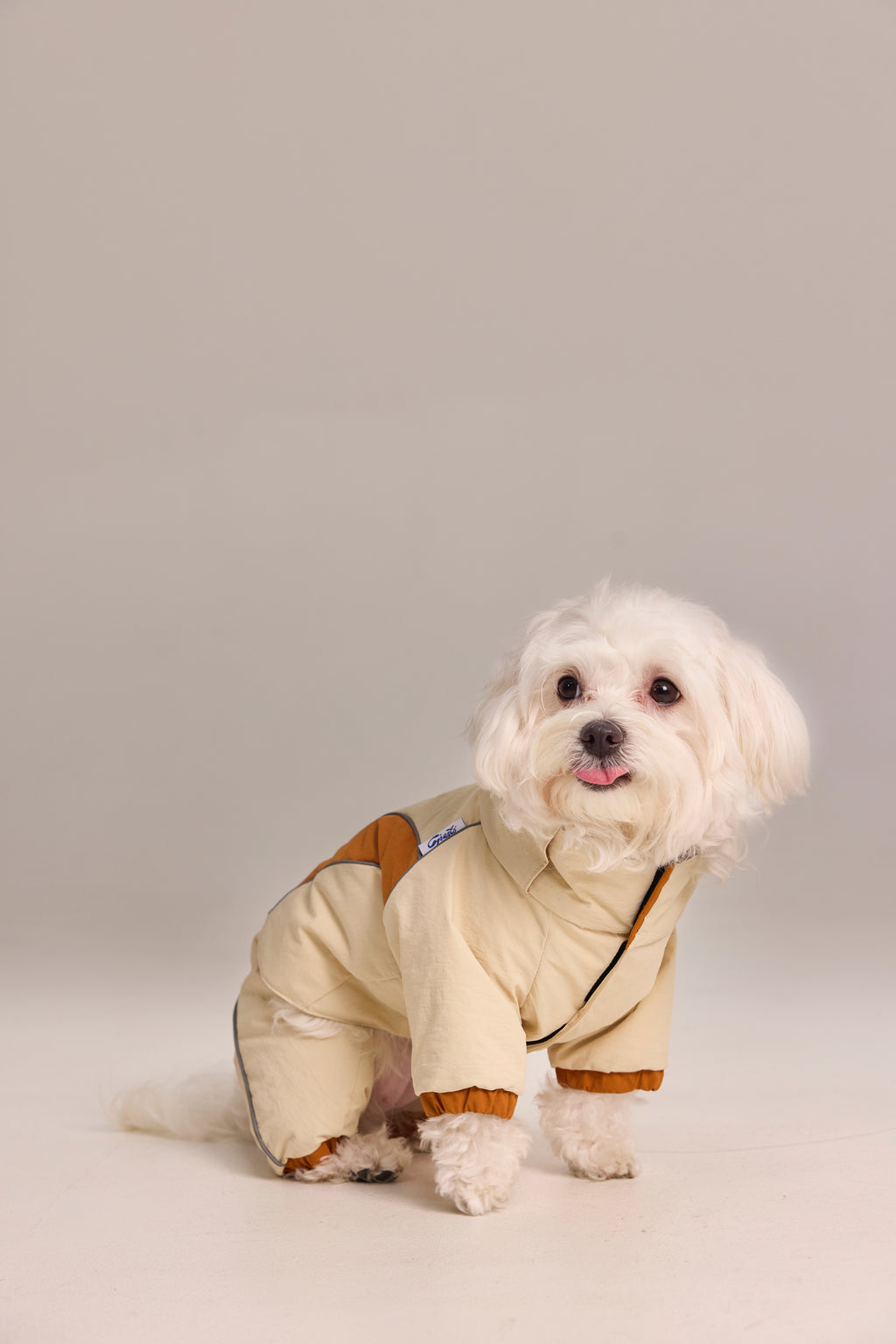 Combinaison 2-en-1 pour chien, haut et pantalon détachables