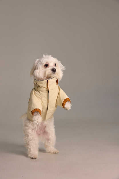 Combinaison 2-en-1 pour chien, haut et pantalon détachables