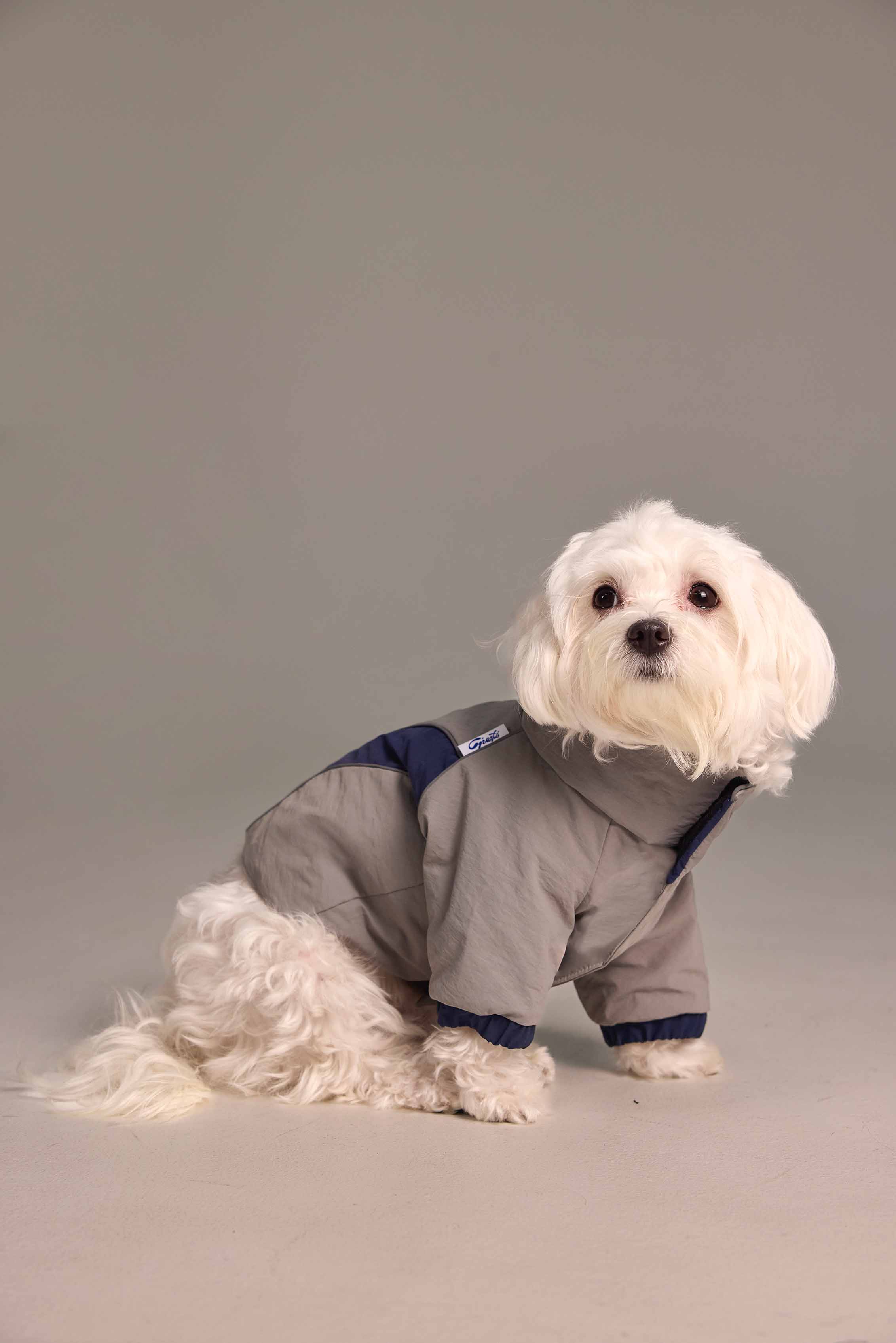 Combinaison 2-en-1 pour chien,  haut et pantalon détachables