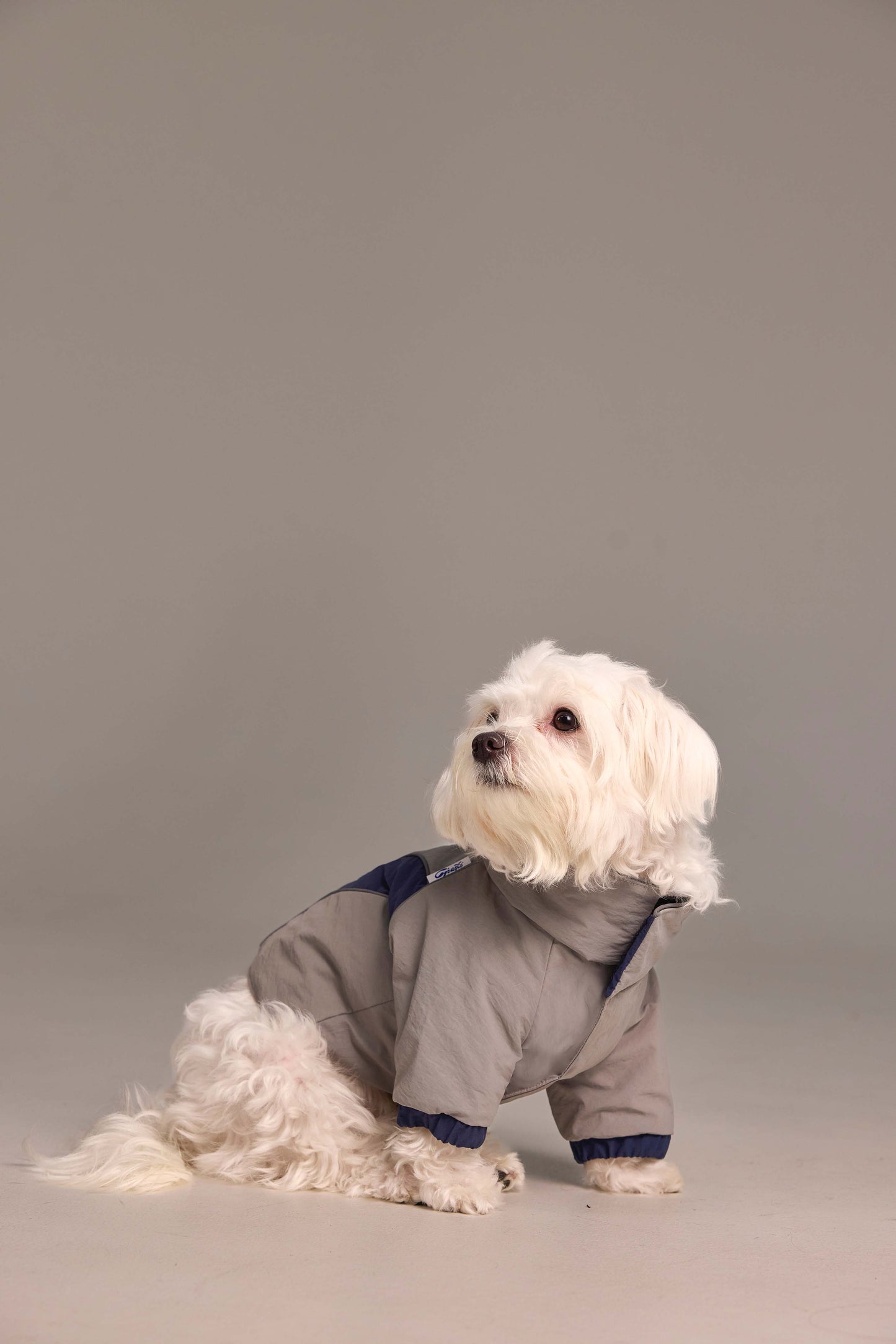 Combinaison 2-en-1 pour chien,  haut et pantalon détachables