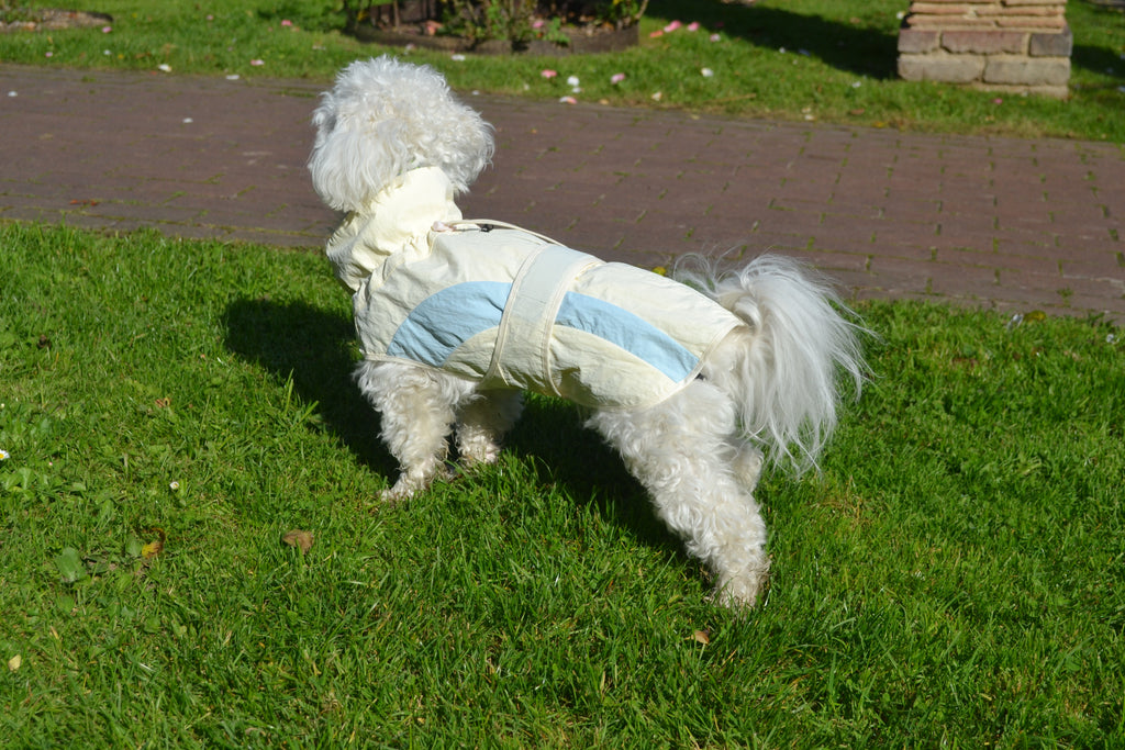 HUSHBABY Imperméable pour chien- A blocs de couleur