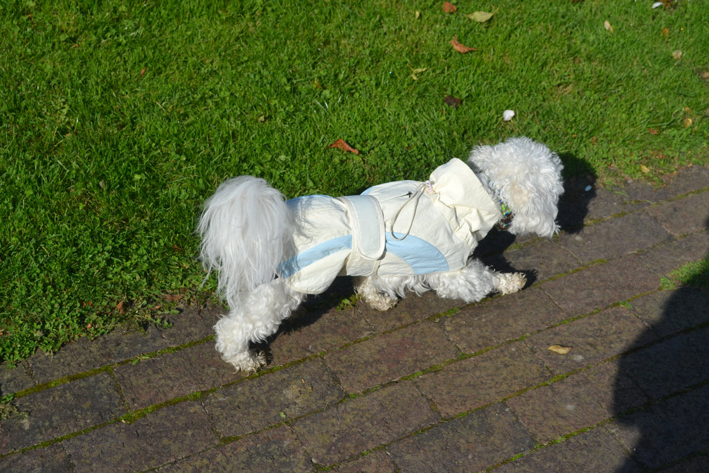 HUSHBABY Imperméable pour chien- A blocs de couleur