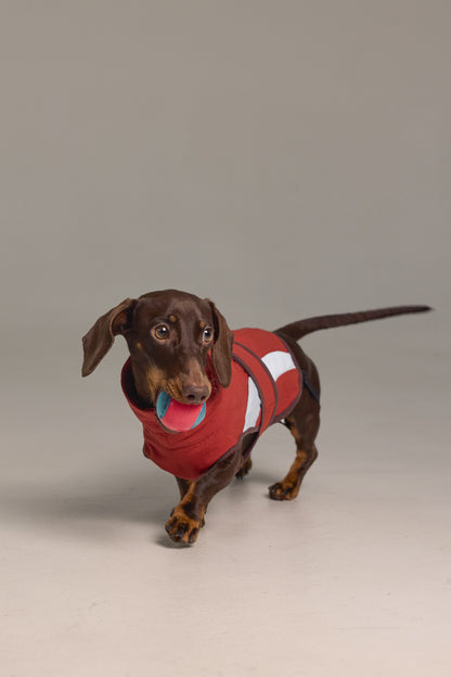 Lightweight dog raincoat - Red color block