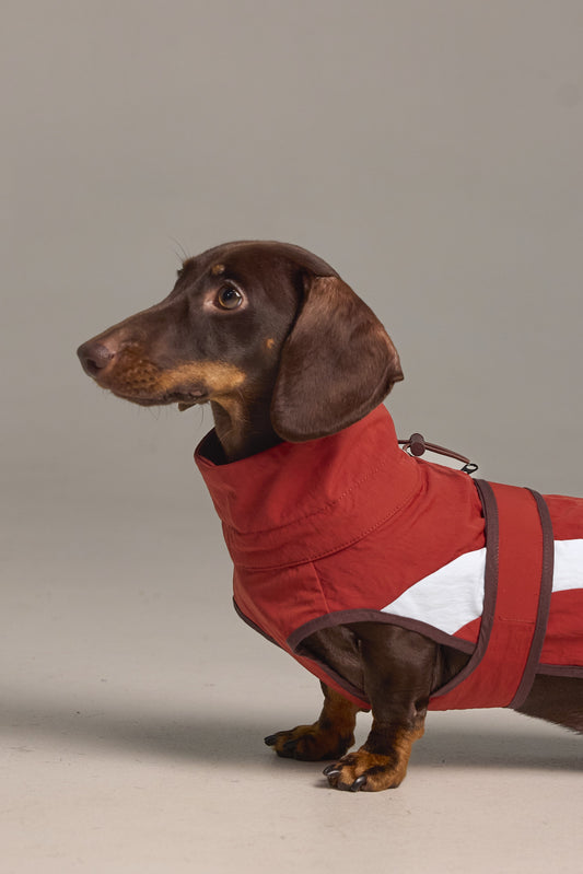 Imperméable léger pour chien - A blocs de couleur Rouge