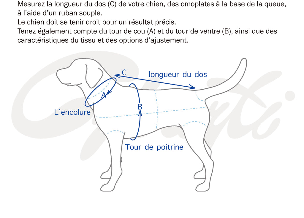 Robe Nelchan pour chien - Couture
