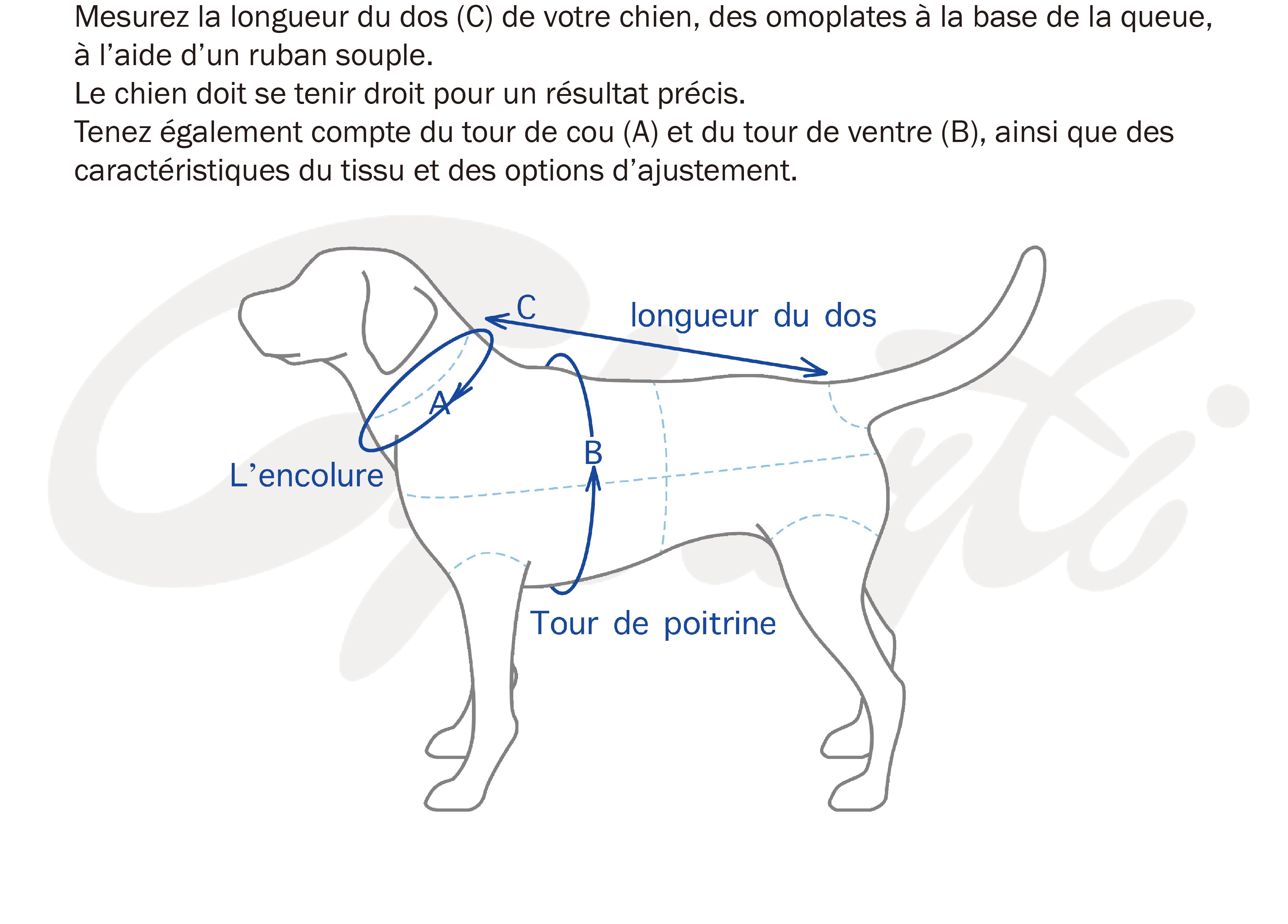 Robe Nelchan pour chien - Couture