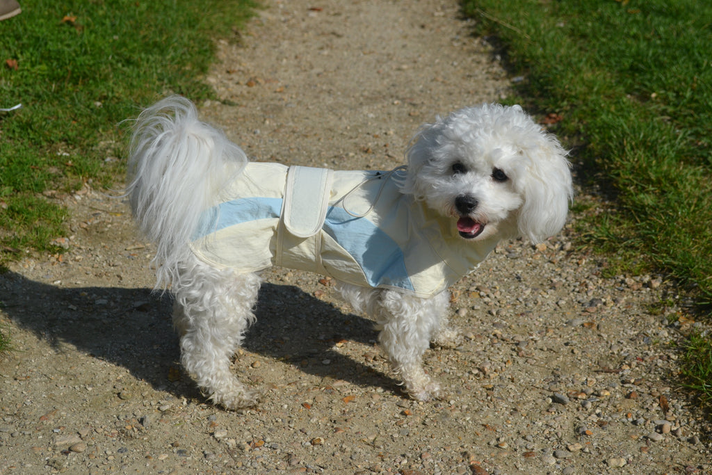 HUSHBABY Imperméable pour chien- A blocs de couleur