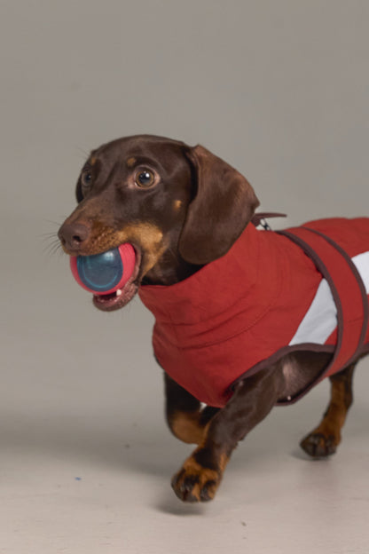 Lightweight dog raincoat - Red color block