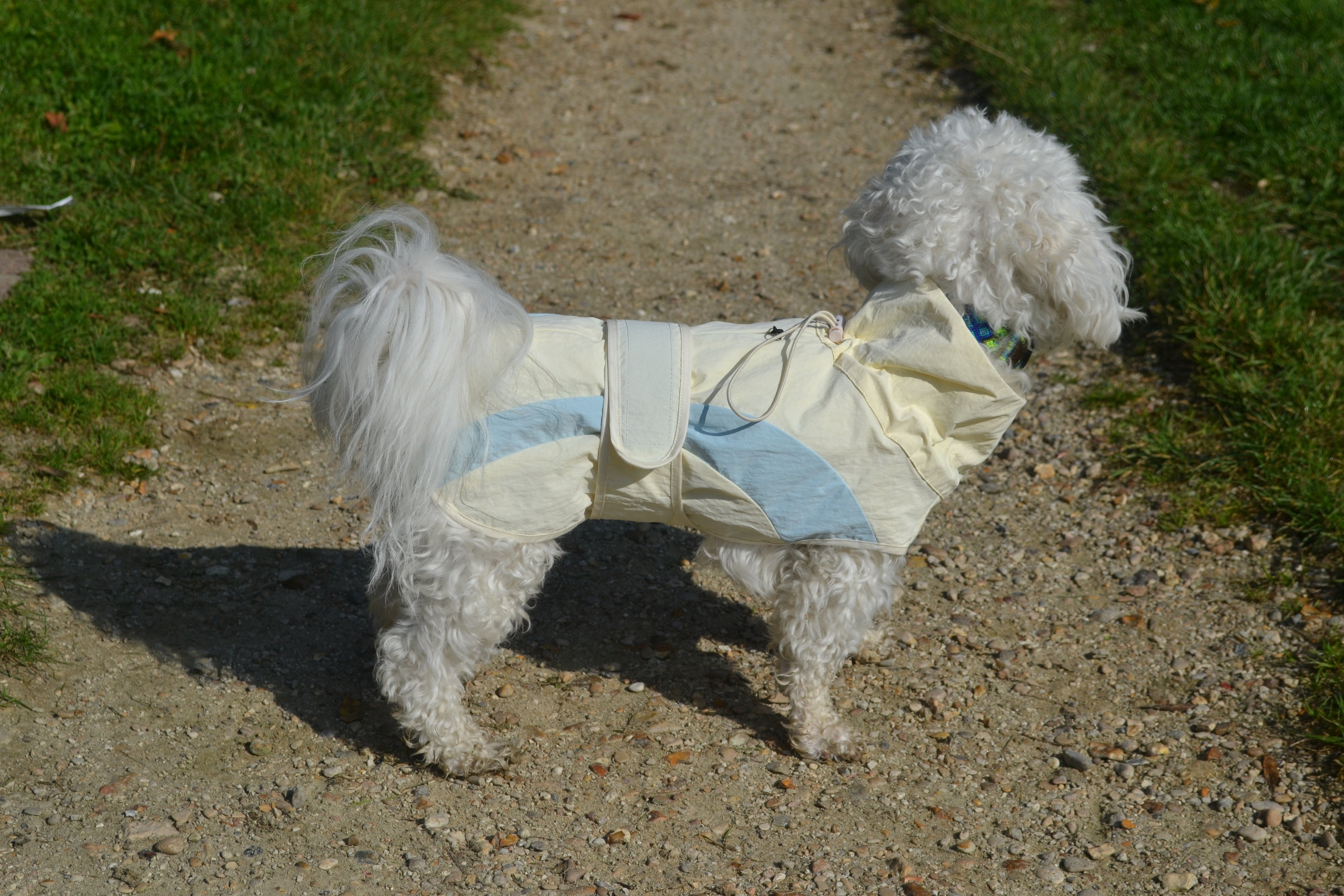 HUSHBABY Imperméable pour chien - A blocs de couleur Claire