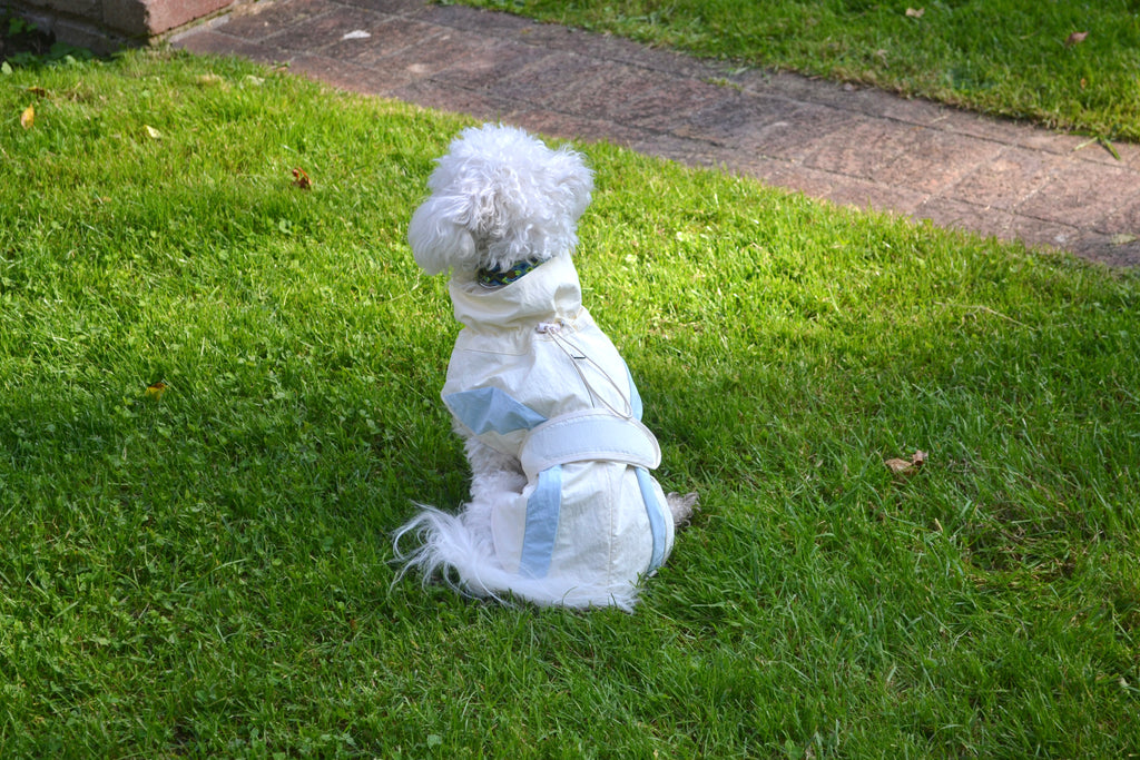 HUSHBABY Imperméable pour chien- A blocs de couleur
