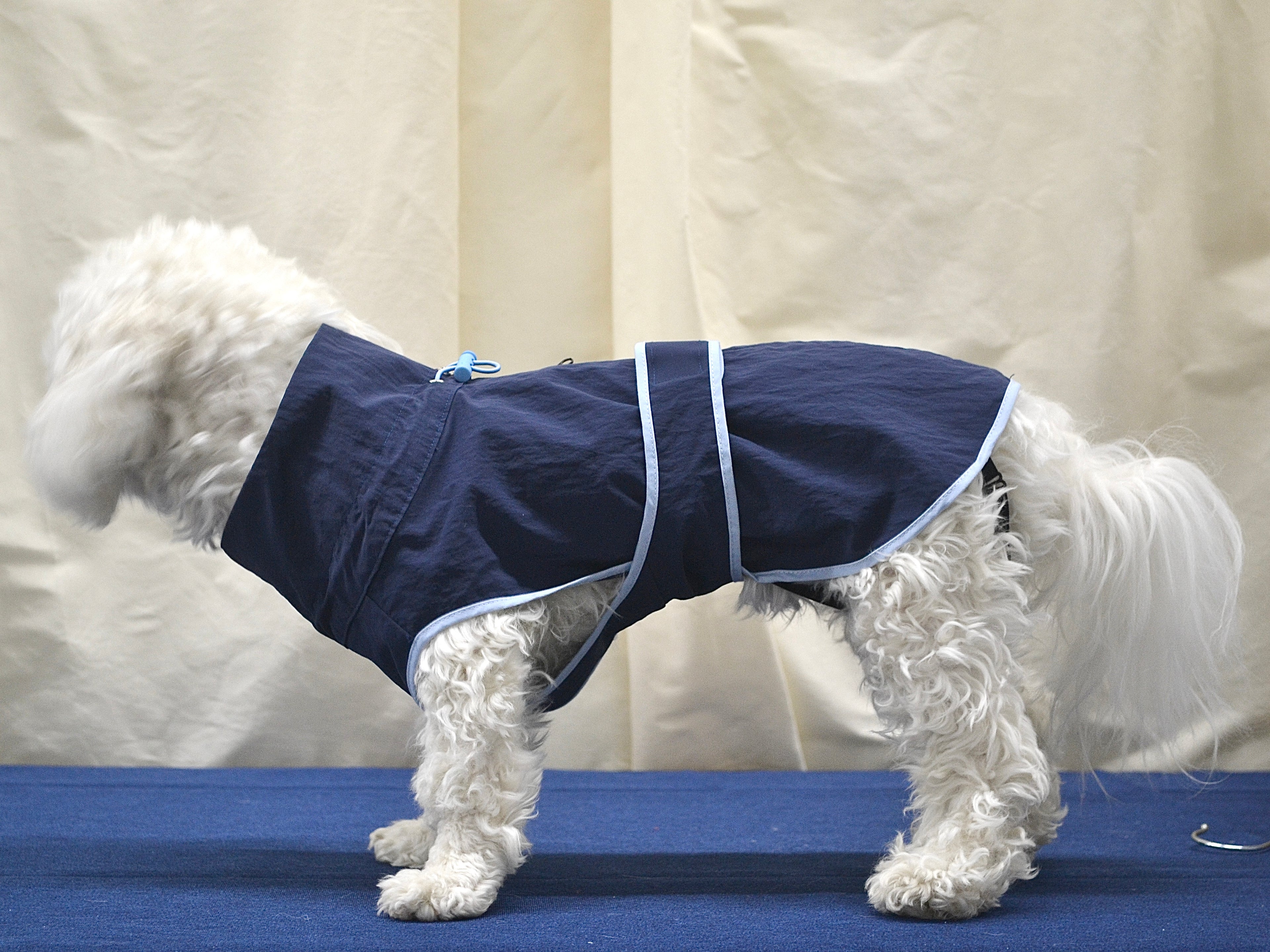 Hushbaby Imperméable pour chien - Bleu marine