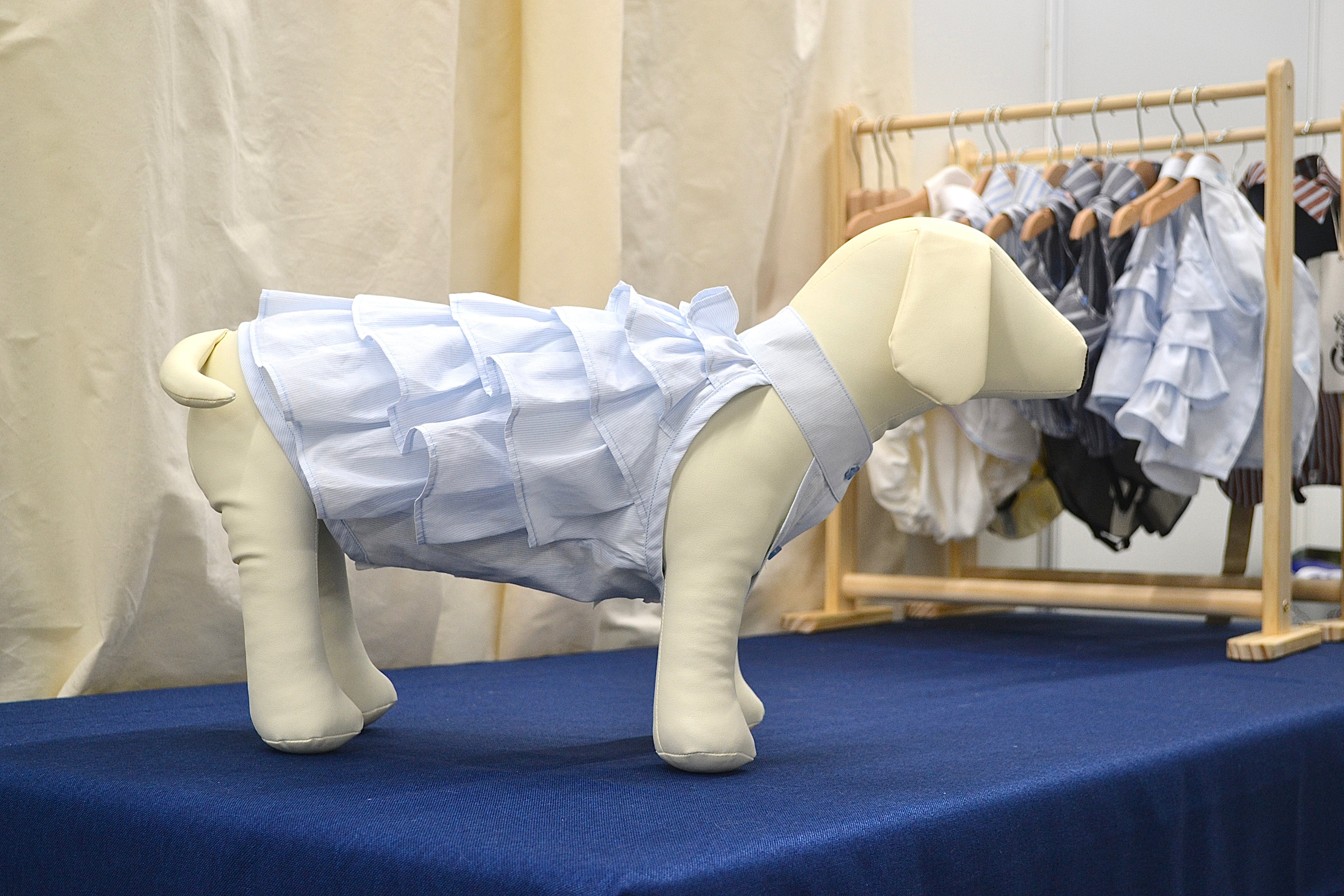 Robe Gâteau pour chien - Couture