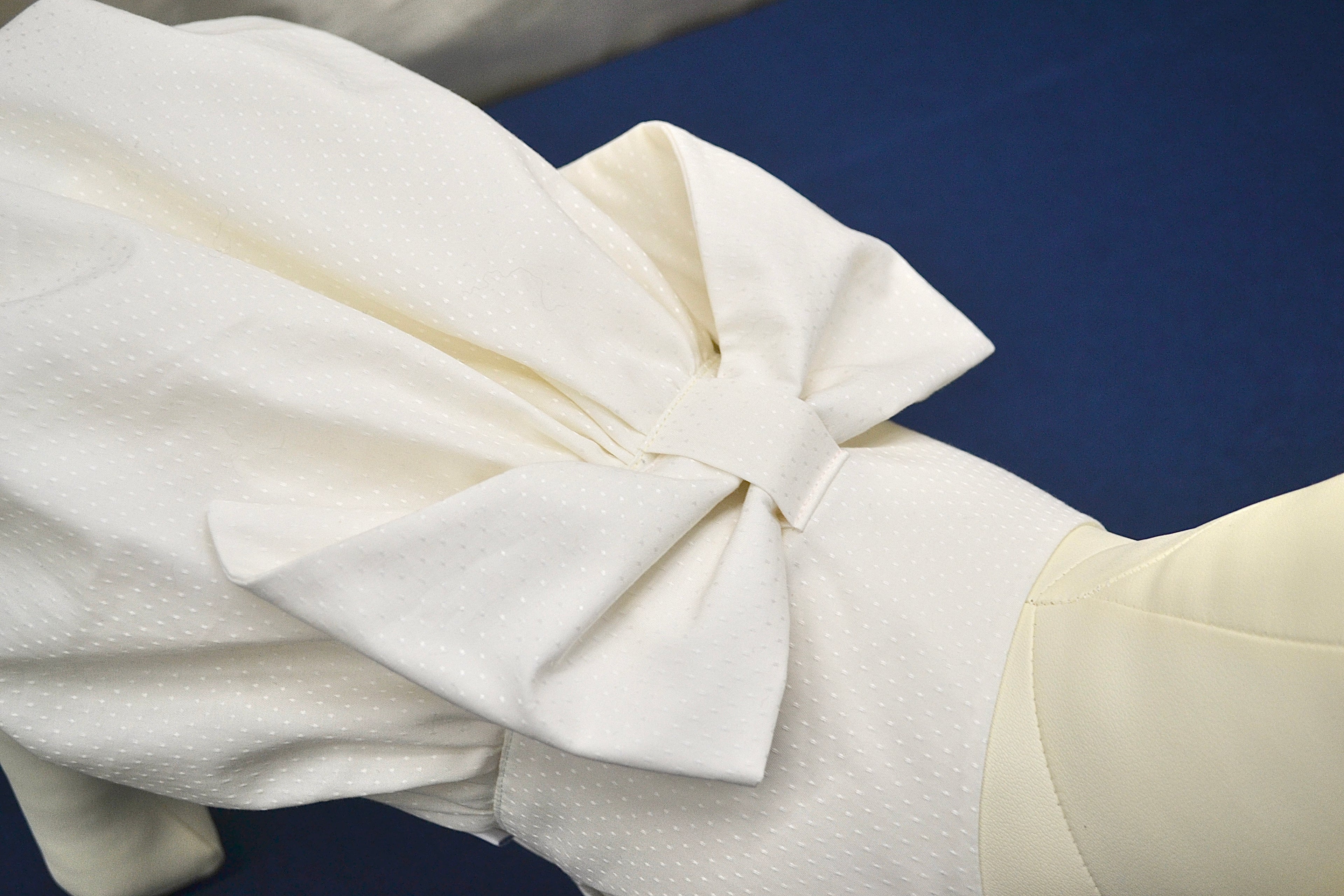 Robe Bouffante pour chien - Couture