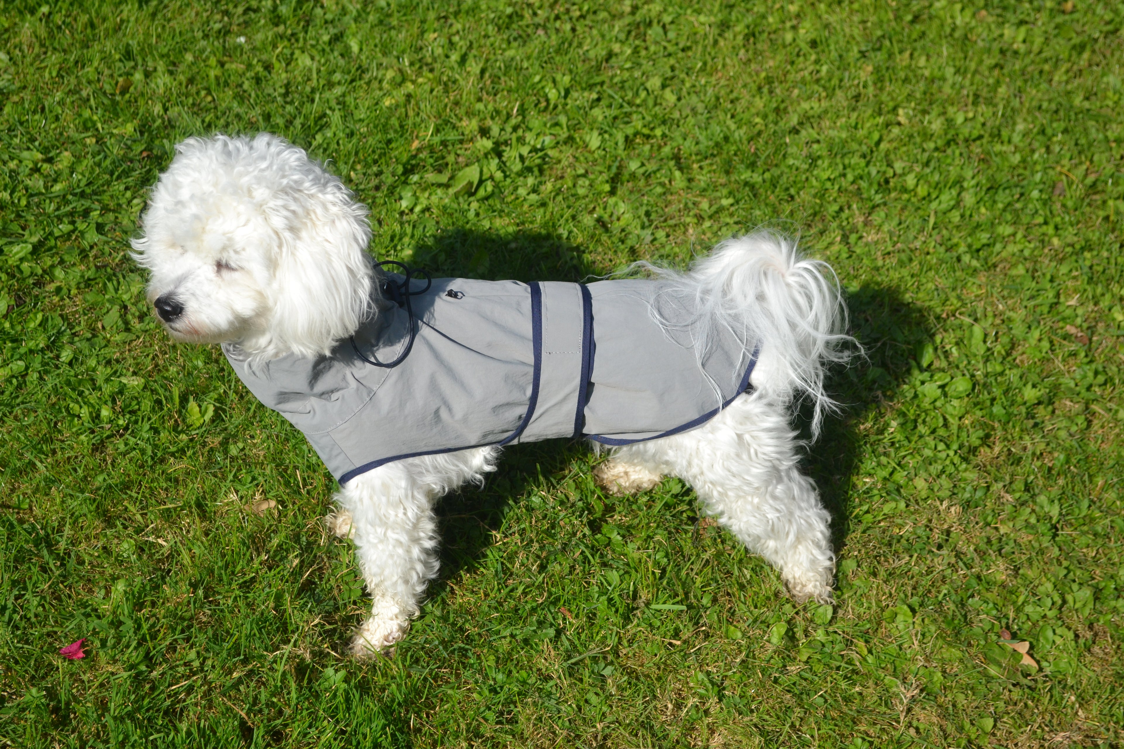 HUSHBABY Imperméable pour chien - Couleur Uni