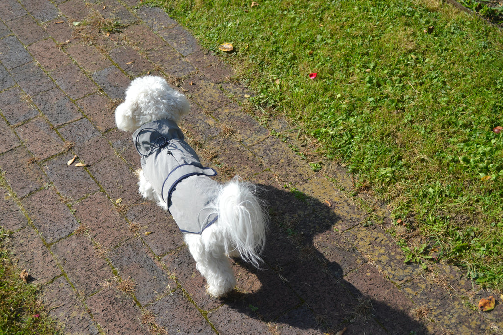 HUSHBABY Imperméable pour chien - Couleur Uni