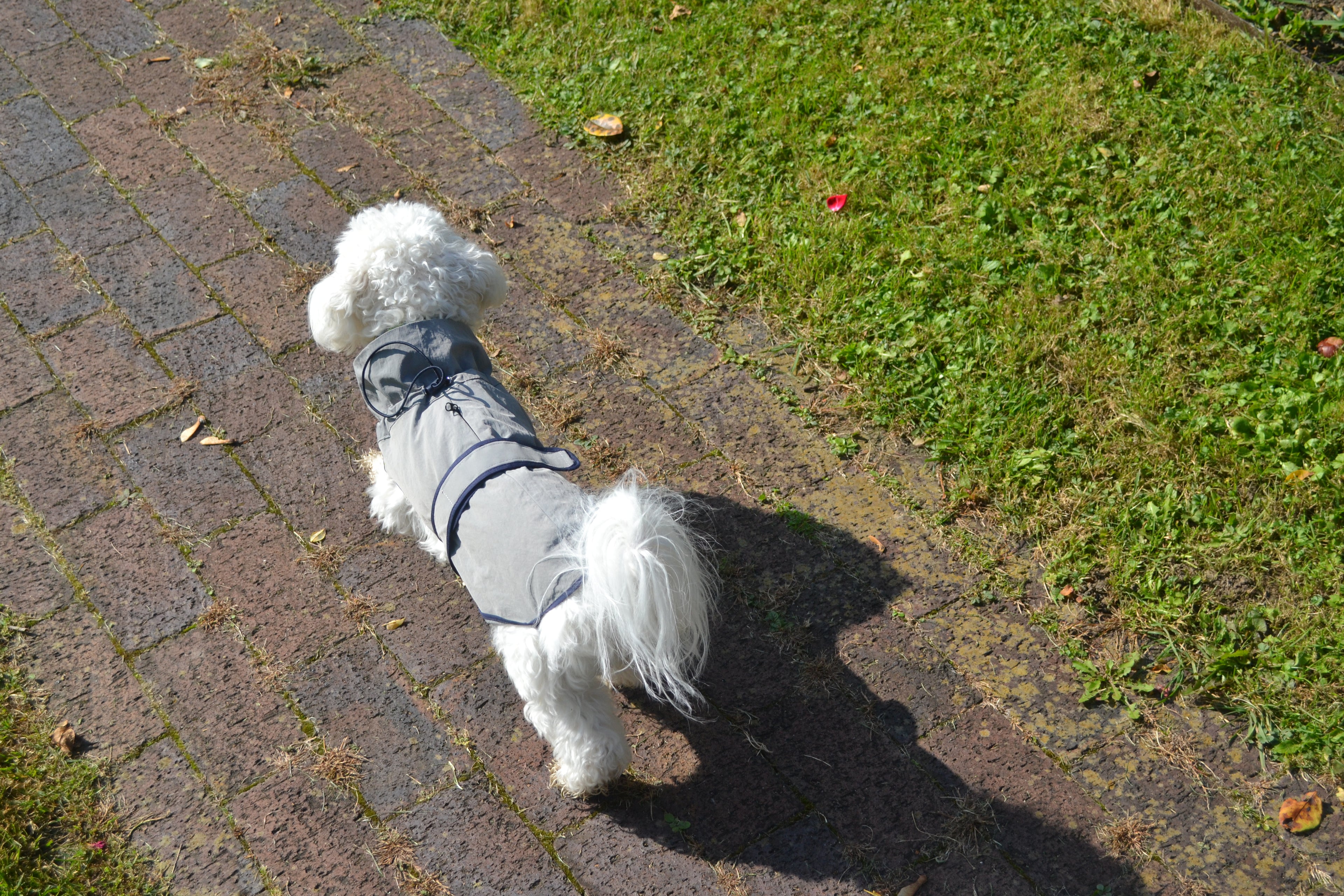 HUSHBABY Imperméable pour chien - Couleur Uni