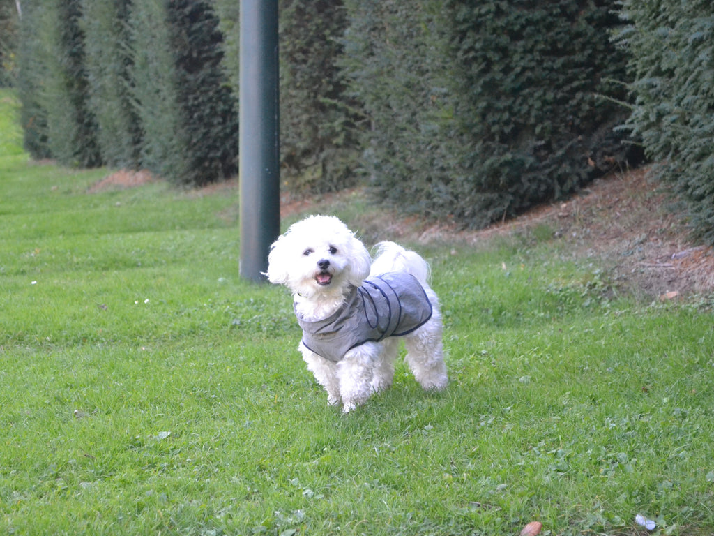 HUSHBABY Imperméable pour chien - Couleur Uni