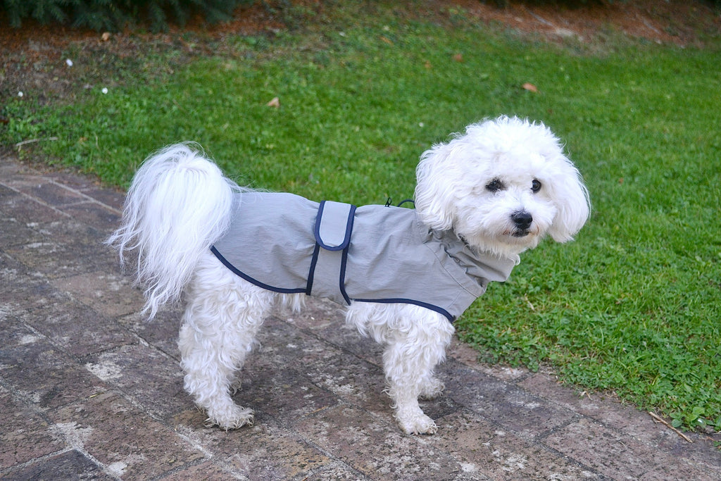 HUSHBABY Imperméable pour chien - Couleur Uni