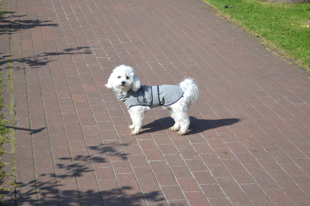 HUSHBABY Imperméable pour chien - Couleur Uni