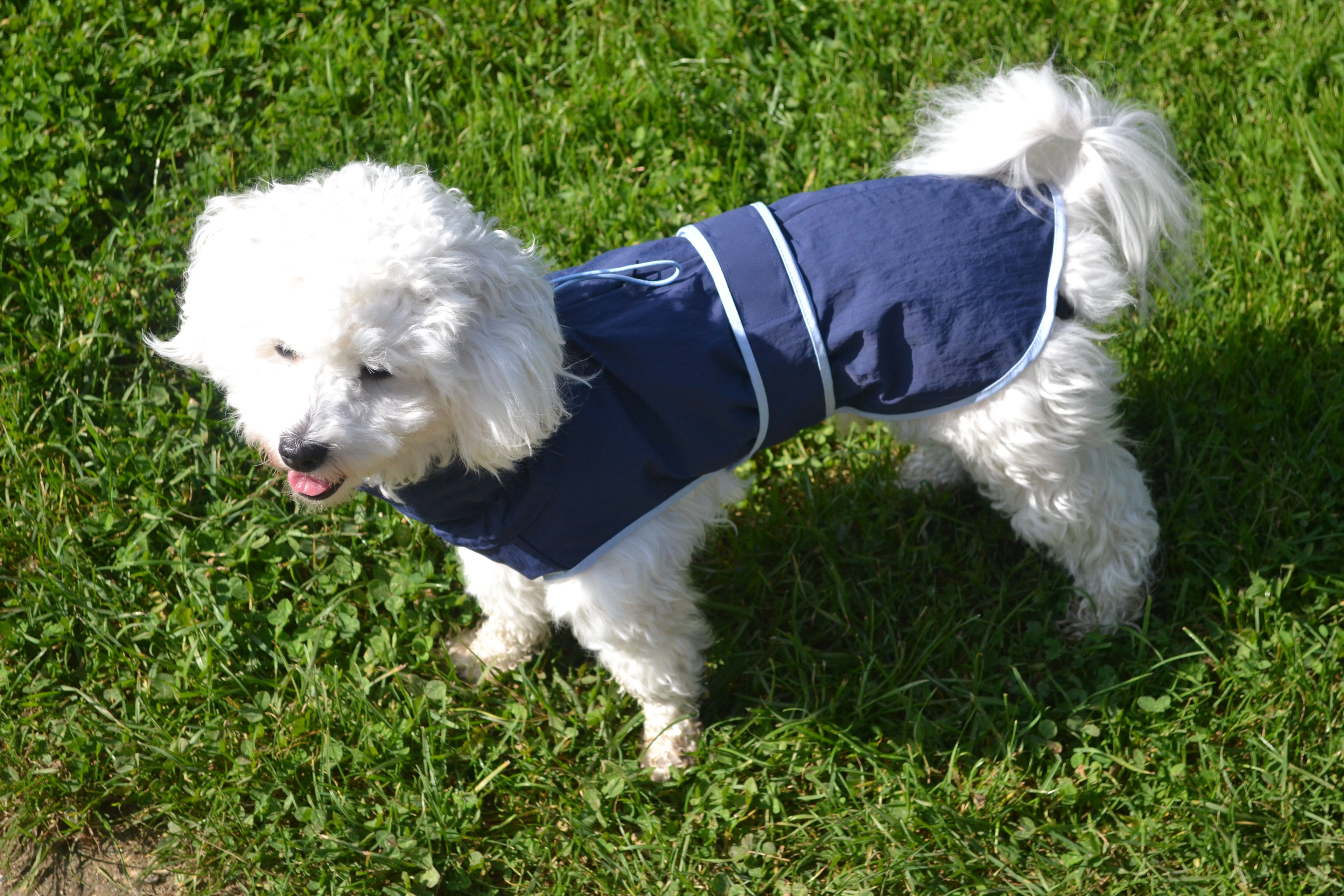 HUSHBABY Imperméable pour chien - Couleur Uni