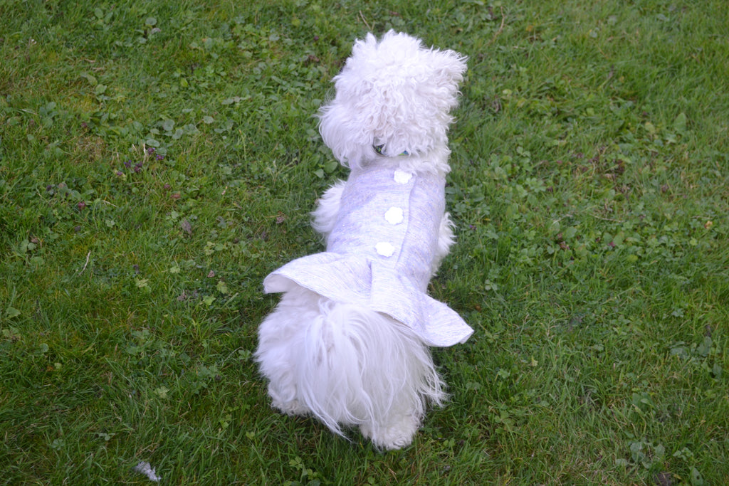 Robe Nelchan pour chien - Couture