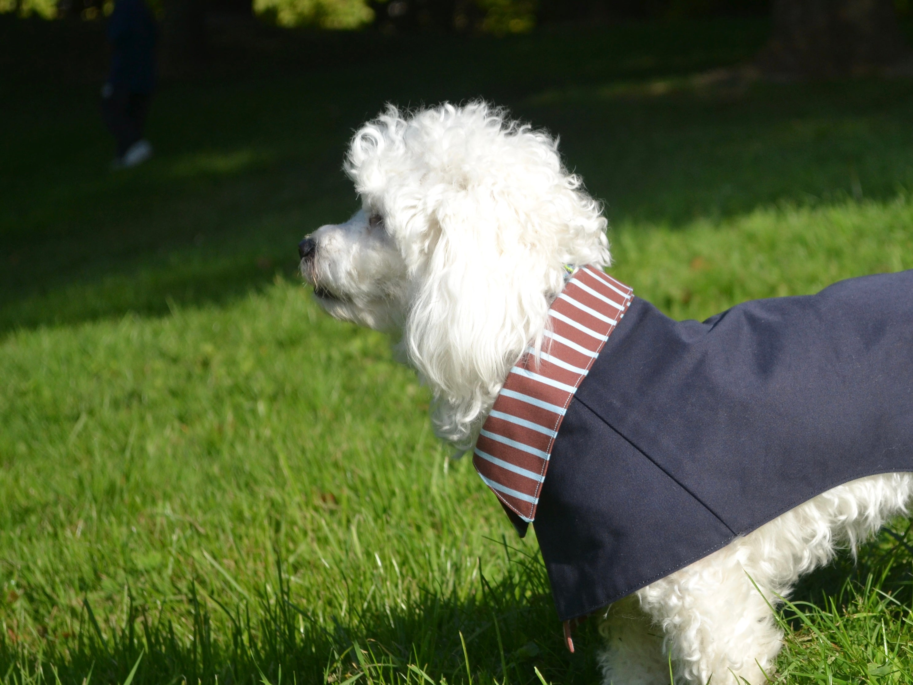 2-EN-1 Trench coat pour chien
