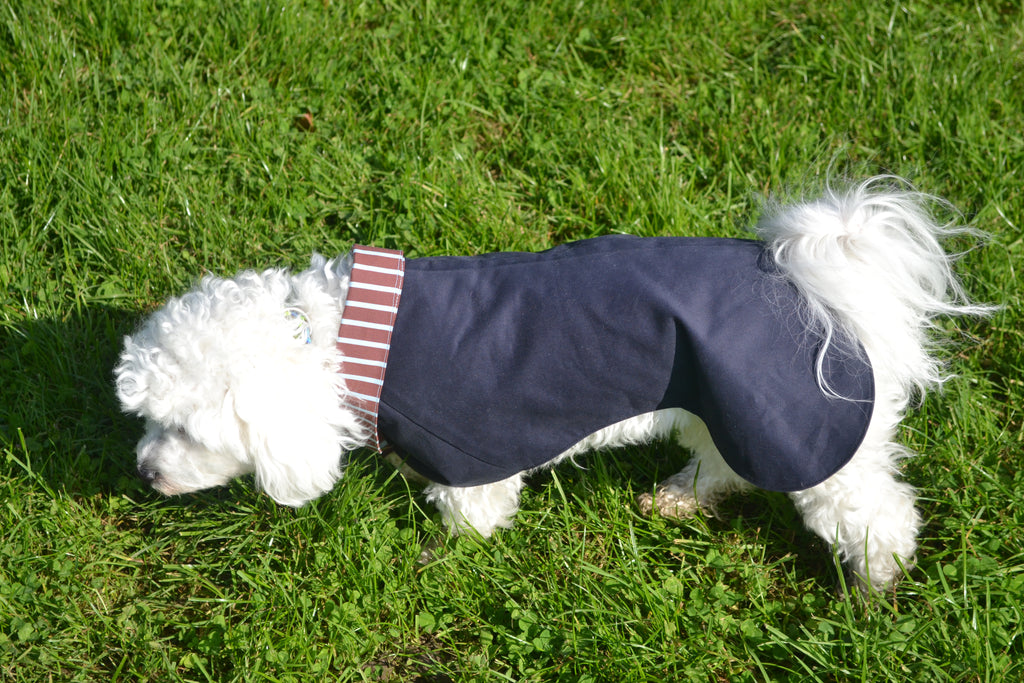 2-EN-1 Trench coat pour chien