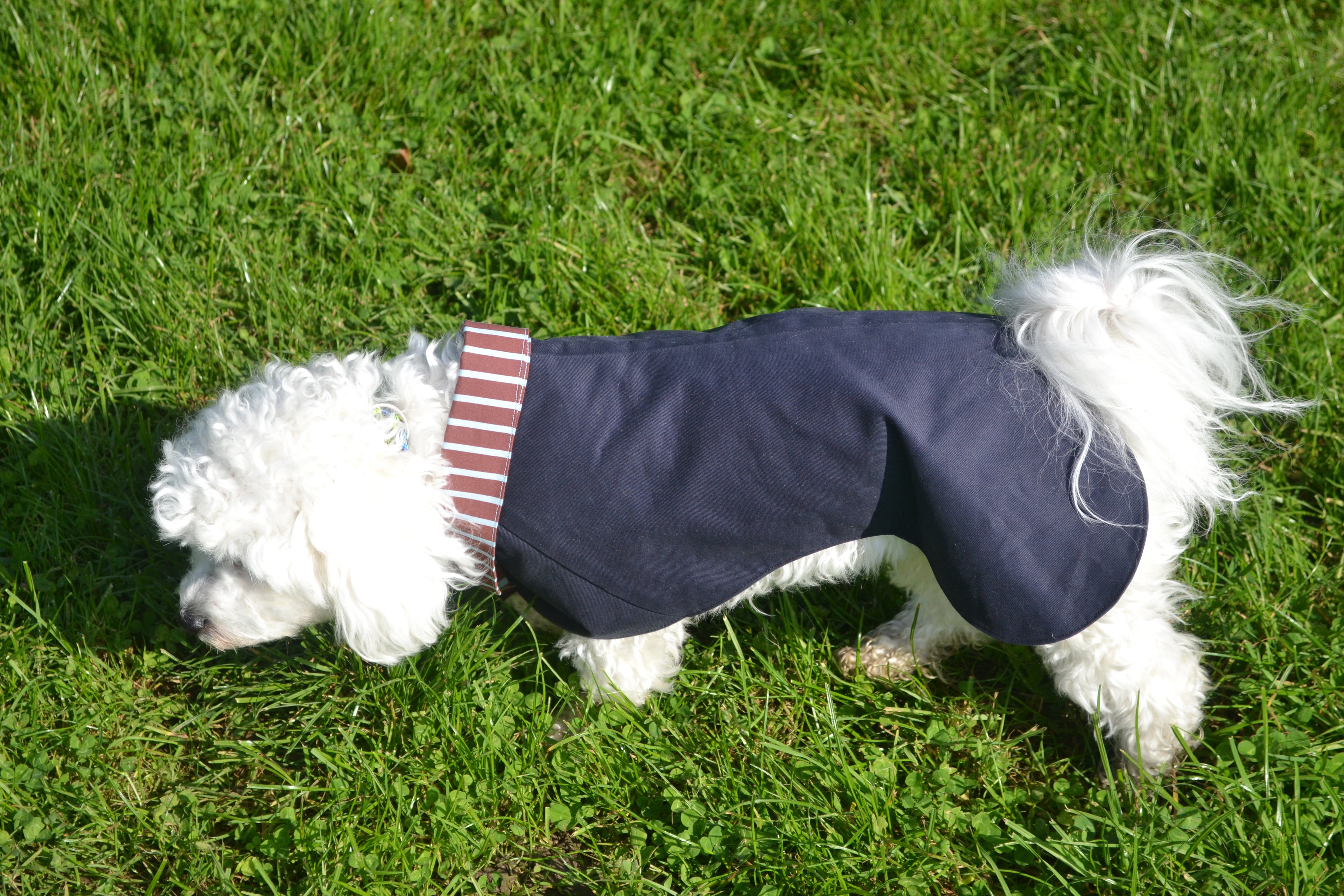 2-EN-1 Trench coat pour chien