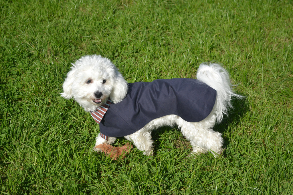 2-EN-1 Trench coat pour chien