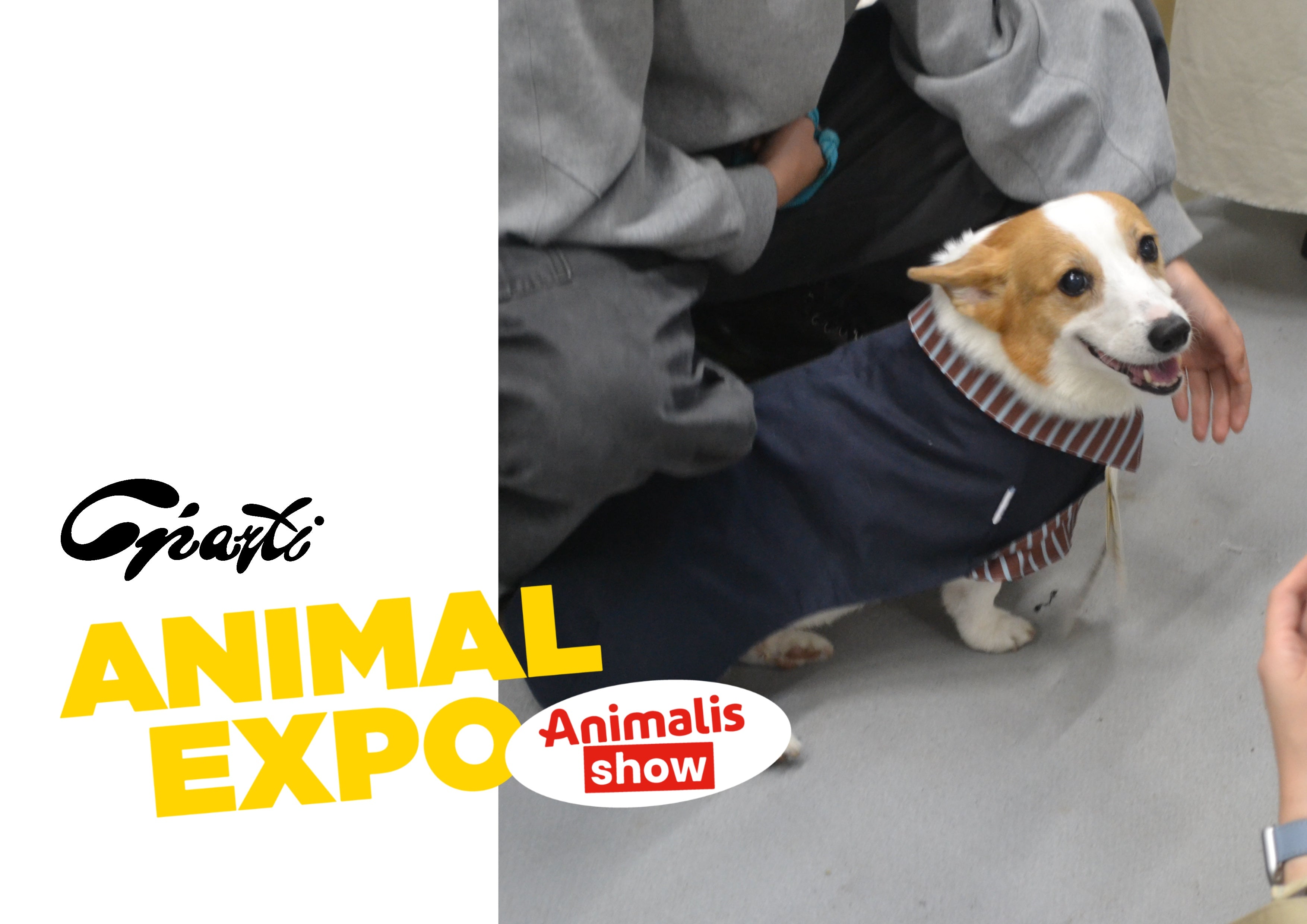 2-EN-1 Trench coat pour chien