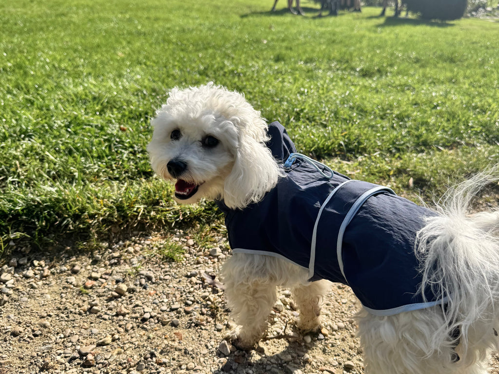 HUSHBABY Imperméable pour chien - Couleur Uni