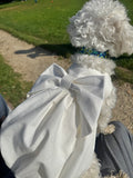 Robe Bouffante pour chien - Couture