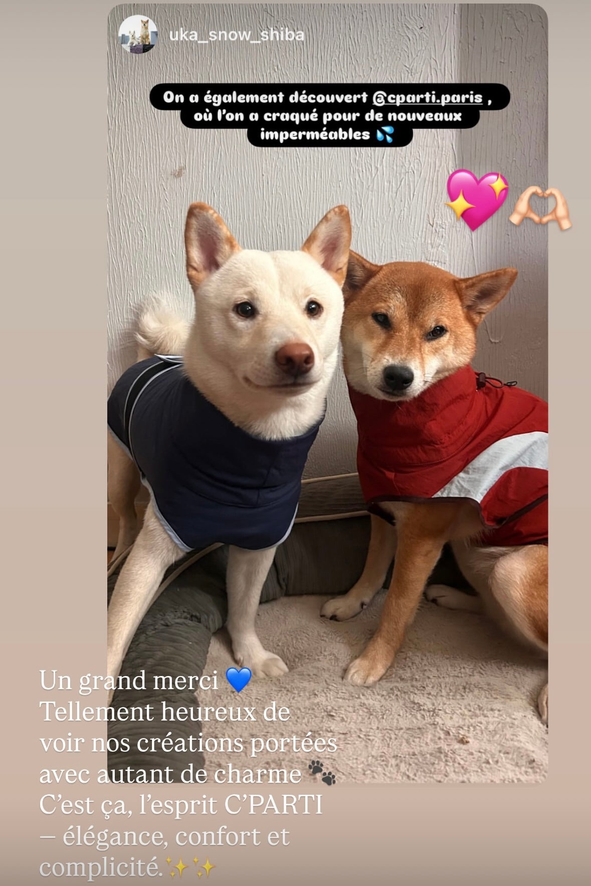 HUSHBABY Imperméable pour chien - Couleur Uni