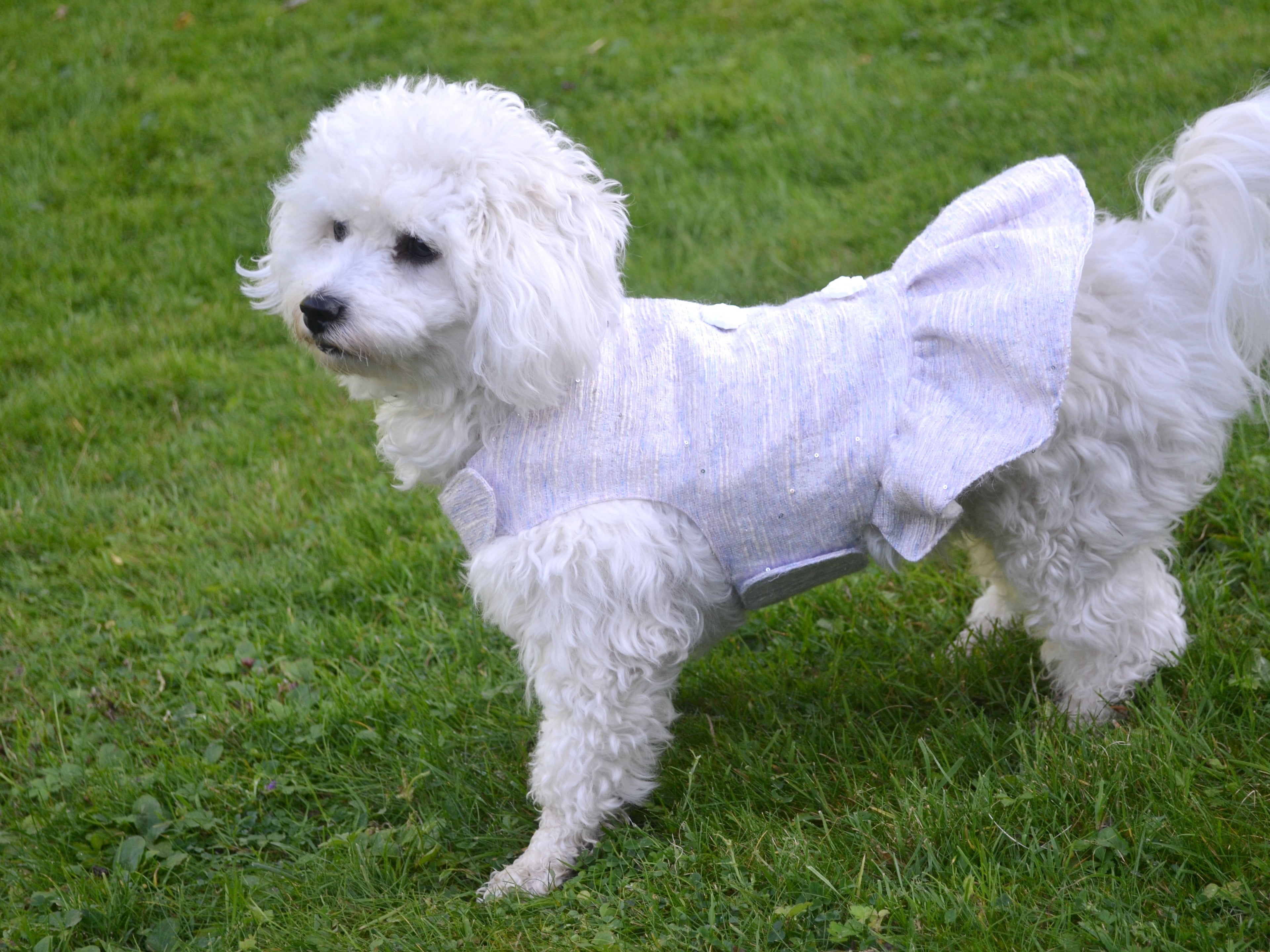 Robe Nelchan pour chien - Couture